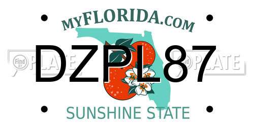 DZPL87 Florida License Plate