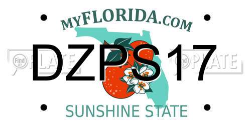DZPS17 Florida License Plate