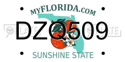 DZQ509 Florida License Plate