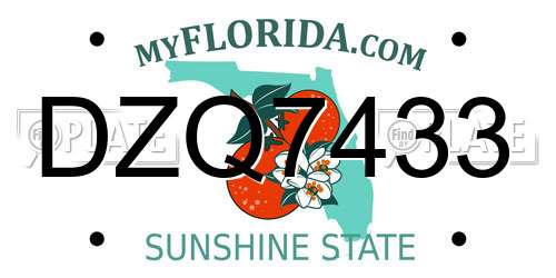 DZQ7433 Florida License Plate