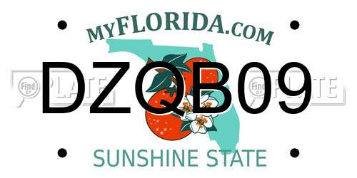 DZQB09 Florida License Plate
