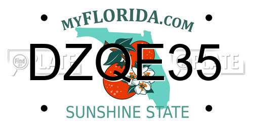 DZQE35 Florida License Plate