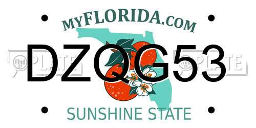 DZQG53 Florida License Plate