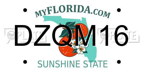 DZQM16 Florida License Plate