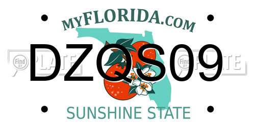 DZQS09 Florida License Plate