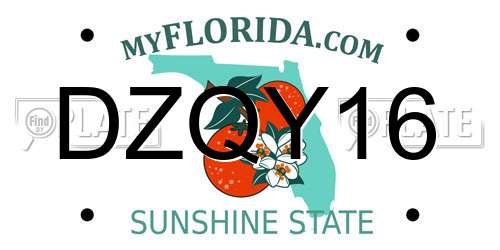 DZQY16 Florida License Plate