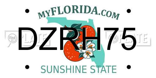 DZRH75 Florida License Plate