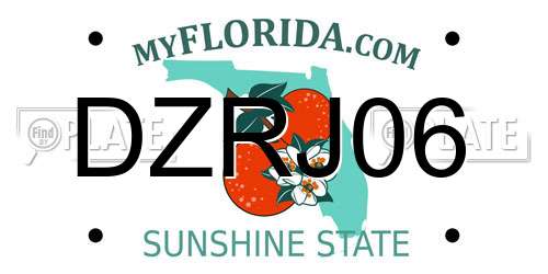 DZRJ06 Florida License Plate