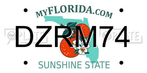 DZRM74 Florida License Plate