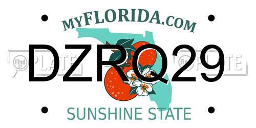 DZRQ29 Florida License Plate