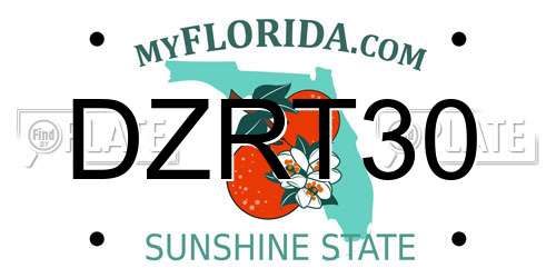 DZRT30 Florida License Plate