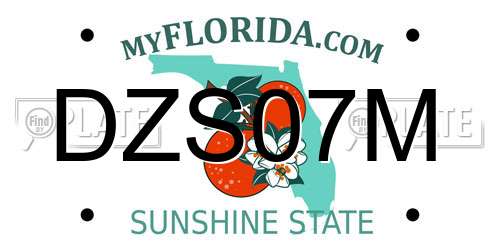 DZS07M Florida License Plate