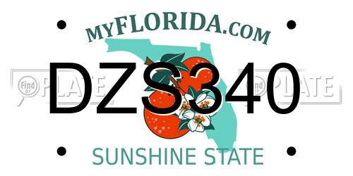 DZS340 Florida License Plate