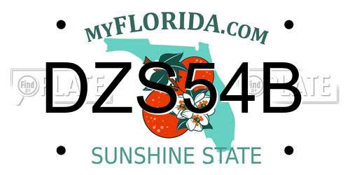 DZS54B Florida License Plate