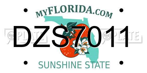 DZS7011 Florida License Plate