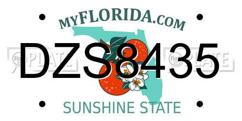 DZS8435 Florida License Plate