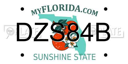 DZS84B Florida License Plate