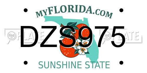 DZS975 Florida License Plate