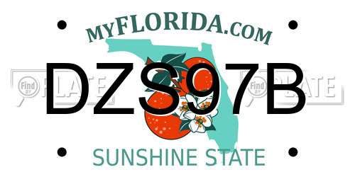 DZS97B Florida License Plate