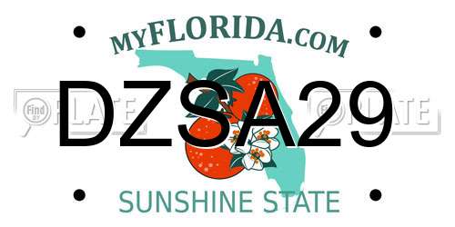 DZSA29 Florida License Plate