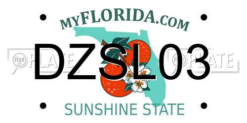 DZSL03 Florida License Plate