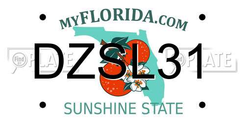 DZSL31 Florida License Plate