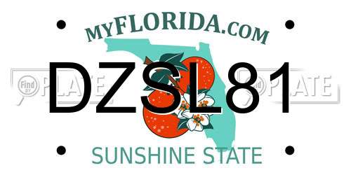 DZSL81 Florida License Plate