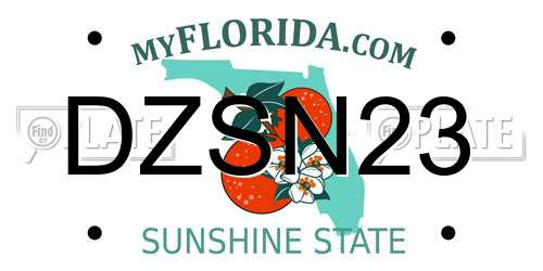 DZSN23 Florida License Plate