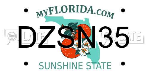 DZSN35 Florida License Plate