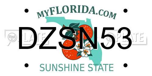 DZSN53 Florida License Plate