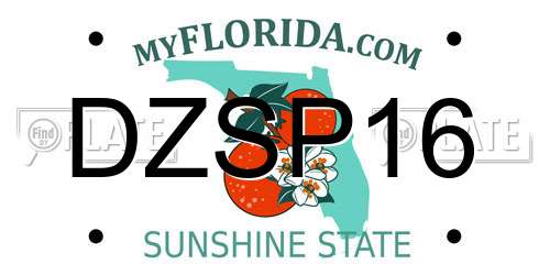 DZSP16 Florida License Plate