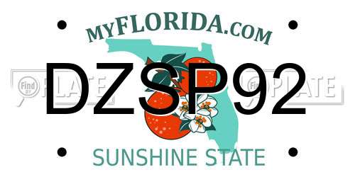DZSP92 Florida License Plate