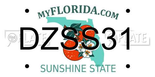 DZSS31 Florida License Plate