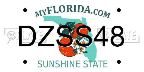 DZSS48 Florida License Plate