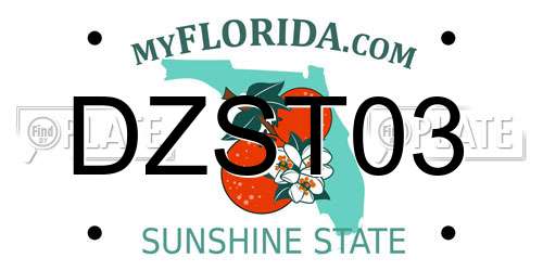 DZST03 Florida License Plate