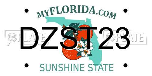 DZST23 Florida License Plate