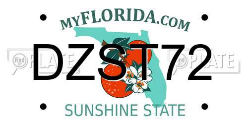 DZST72 Florida License Plate