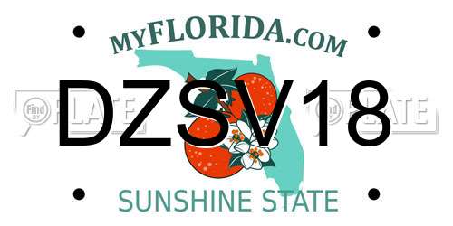 DZSV18 Florida License Plate