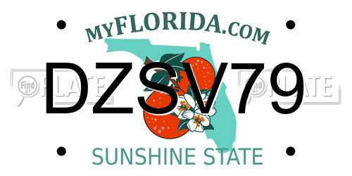 DZSV79 Florida License Plate