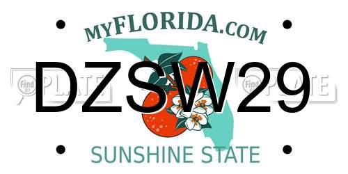 DZSW29 Florida License Plate
