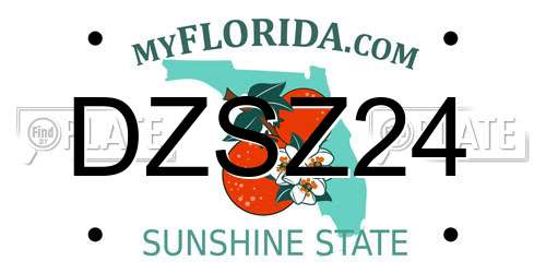DZSZ24 Florida License Plate