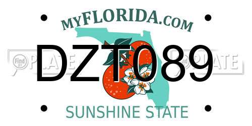 DZT089 Florida License Plate