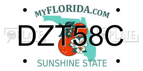 DZT58C Florida License Plate