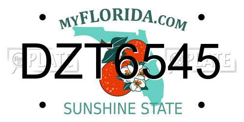 DZT6545 Florida License Plate