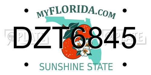 DZT6845 Florida License Plate
