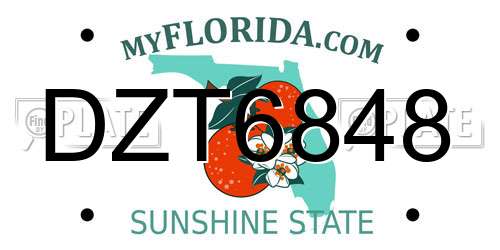 DZT6848 Florida License Plate