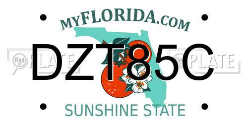 DZT85C Florida License Plate