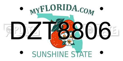 DZT8806 Florida License Plate