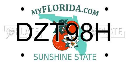 DZT98H Florida License Plate
