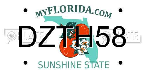 DZTH58 Florida License Plate